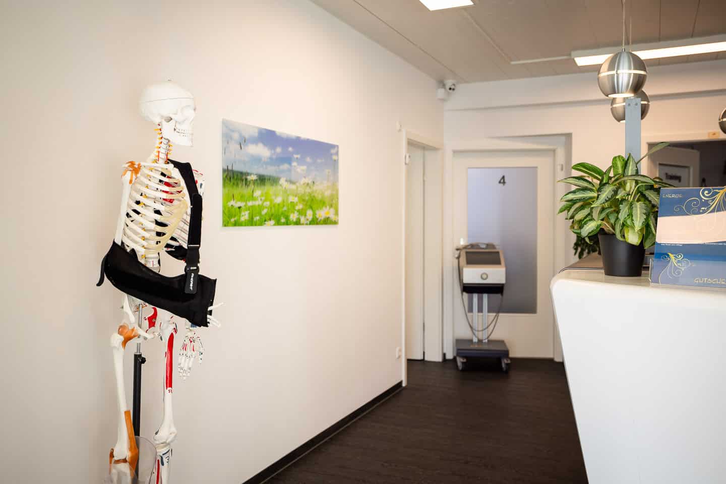 Schultermodell im Empfangsbereich der Physiotherapie in Penzberg, modern und einladend.