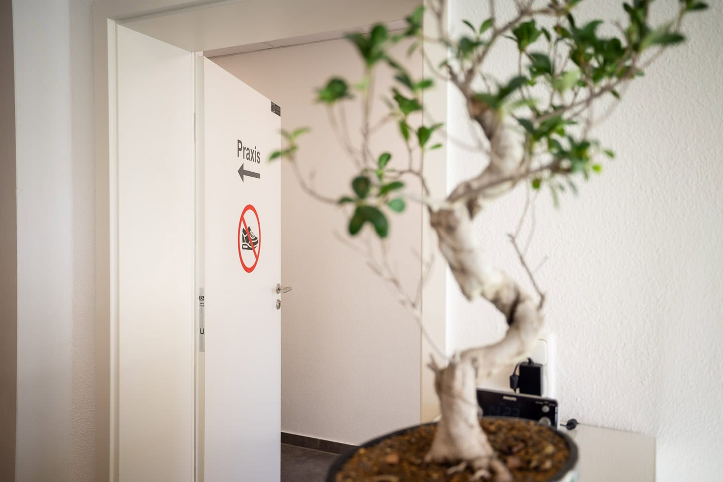 Physiotherapie-Praxisraum in Penzberg mit Bonsai im Vordergrund.